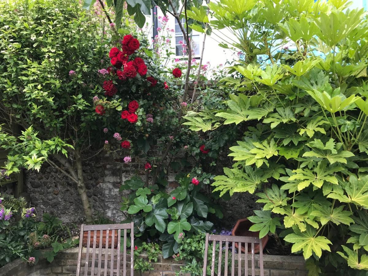 Amazing Apartment, Private Garden, Off Street Parking Brighton Exterior foto